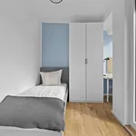 Rent a room in berlin