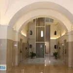 Rent 3 bedroom apartment of 82 m² in Bari