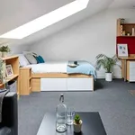 Rent 1 bedroom apartment in Coventry