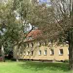 Rent 2 bedroom apartment of 49 m² in Gelsenkirchen