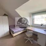 Rent 1 bedroom apartment of 25 m² in Praha