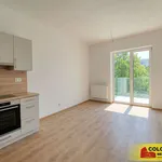 Pronajměte si 2 ložnic/e byt o rozloze 46 m² v Znojmo