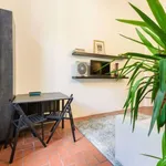 Rent 1 bedroom apartment of 50 m² in florence