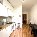 Rent 2 bedroom apartment of 55 m² in Turin