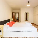 Rent 1 bedroom apartment in Florence