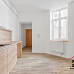 Rent 1 bedroom apartment in Ostrava