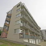 Pronajměte si 3 ložnic/e byt o rozloze 85 m² v Prague