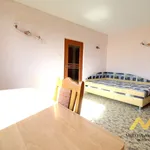 Rent 1 bedroom apartment of 38 m² in Hradec Králové