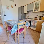 Rent 4 bedroom apartment of 80 m² in Roma