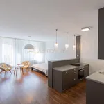 Pronajměte si 1 ložnic/e byt o rozloze 45 m² v Olomouc