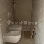 Rent 3 bedroom apartment of 100 m² in Trento