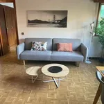 Alquilo 1 dormitorio apartamento de 72 m² en madrid