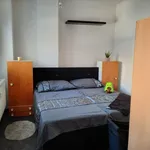 Rent 1 bedroom apartment of 42 m² in Brno