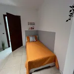 Rent 13 bedroom apartment in Trento