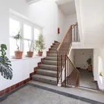 Rent 1 bedroom apartment of 135 m² in Brno