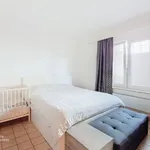 Rent 2 bedroom apartment in Londerzeel