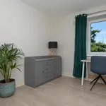 Rent 3 bedroom apartment in Galway