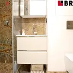 Rent 3 bedroom apartment in Brno