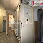 Rent 1 bedroom house of 483 m² in Valtice