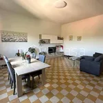 Rent 3 bedroom apartment of 90 m² in Bologna