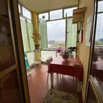 Rent 3 bedroom apartment of 85 m² in Torino