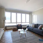 Huur 1 slaapkamer appartement in Antwerpen