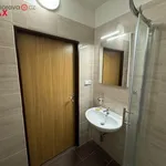 Rent 3 bedroom apartment of 60 m² in Trhový Štěpánov