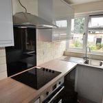 Rent 3 bedroom house in East Of England