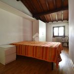 Rent 3 bedroom apartment of 70 m² in Florence