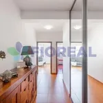 Rent 4 bedroom apartment of 106 m² in Prague