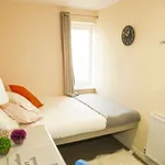 Rent 1 bedroom apartment in Coventry