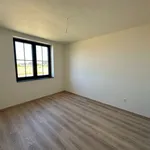 Maison de 268 m² avec 1 chambre(s) en location à Kinrooi