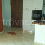 Rent 2 bedroom apartment of 50 m² in Frosinone