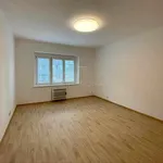 Rent 2 bedroom house in Prague