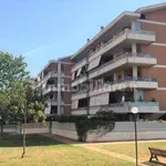 Rent 3 bedroom apartment of 80 m² in Pomezia