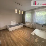 Rent 1 bedroom apartment in Břeclav