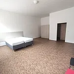 Rent 1 bedroom apartment in Praha 5