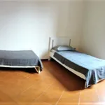 Rent 4 bedroom apartment in Florence