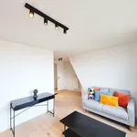 Rent 1 bedroom apartment in Leuven