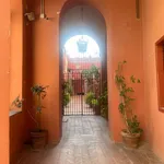 Rent 2 bedroom apartment of 60 m² in Napoli