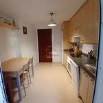 apartment for rent in la zona de Santa Cecilia