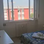 Rent 3 bedroom apartment of 70 m² in Milan