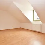 Rent 2 bedroom apartment of 48 m² in Chemnitz