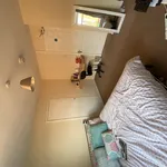 Rent 6 bedroom house in Worcester