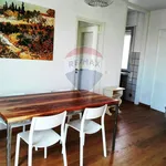 Rent 4 bedroom apartment of 50 m² in Viareggio