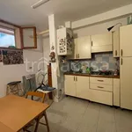 Rent 2 bedroom apartment of 50 m² in Pisa