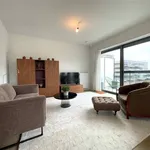 Rent 2 bedroom apartment in EDEGEM