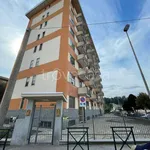 Affitto 2 camera appartamento di 62 m² in Alpignano