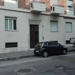 Rent 2 bedroom apartment of 55 m² in Turin