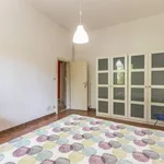 Rent 3 bedroom apartment in Bologna